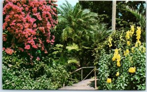 Postcard - Sunken Gardens - St. Petersburg, Florida