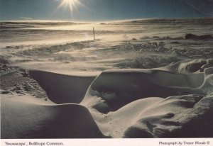 Durham Snowscape at Bolihope Common Postcard