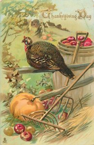 Embossed greetings Thanksgiving day turkey in the yard