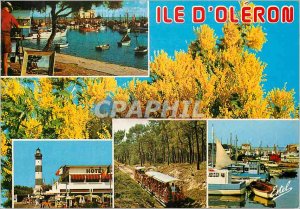 Modern Postcard Ile d'Oleron (Charente Maritime), the Atlantic Coast