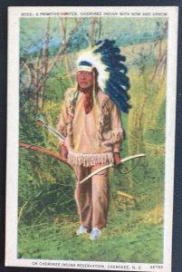 Mint USA Picture Postcard Native American  Cherokee Indian Primitive Hunter