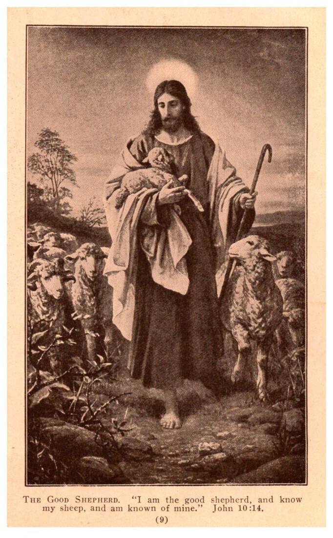 Jesus Christ , Flock of Sheep Topics Religious & Spiritual