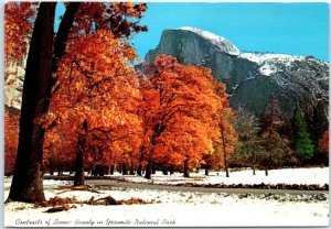 Postcard - Contrasts of Scenic Beauty in Yosemite National Park - California