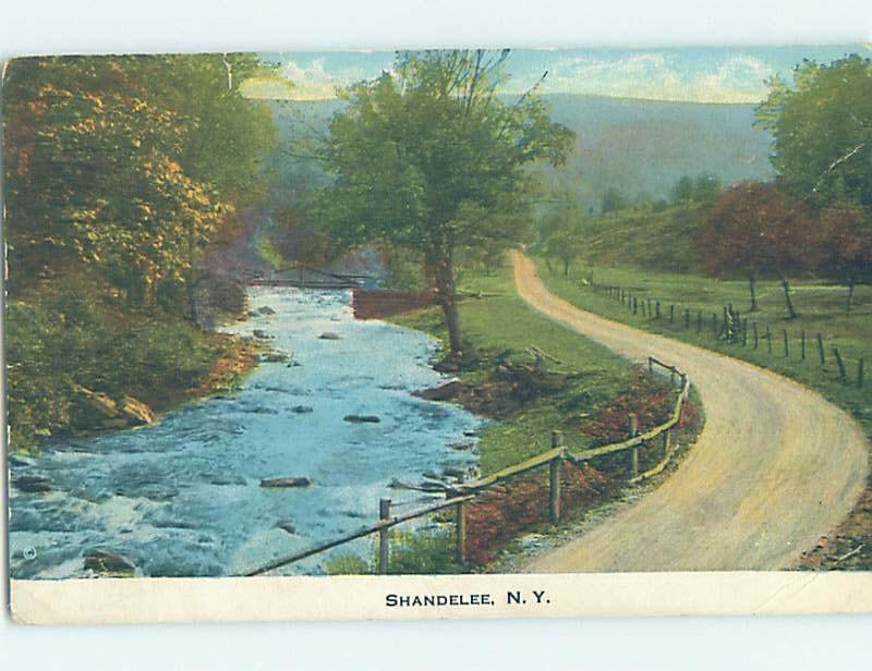 c1910 ROAD Adirondacks - Shandelee In Callicoon By Bethel & Liberty NY i1513