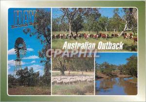  Modern Postcard Australia Australian Outback