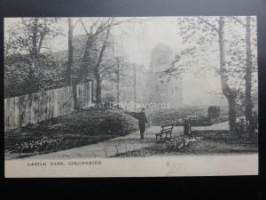 Essex: Castle Park, Colchester c1904