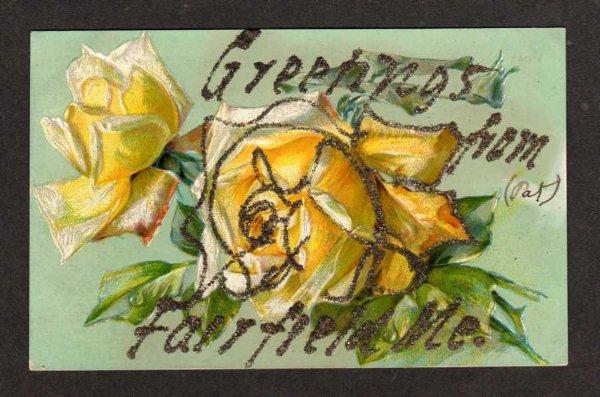 ME Greetings from FAIRFIELD MAINE Postcard PC Roses