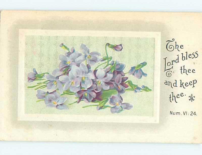 Divided-Back BEAUTIFUL VIOLET FLOWERS - LORD BLESS THEE o9258