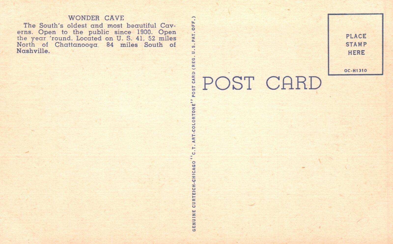 Vintage Postcard 1930's Banyan Tree Wonder Cave Old Cavern Monteagle ...