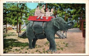 Linen Postcard Elephant Ride at Walbridge Park in Toledo, Ohio