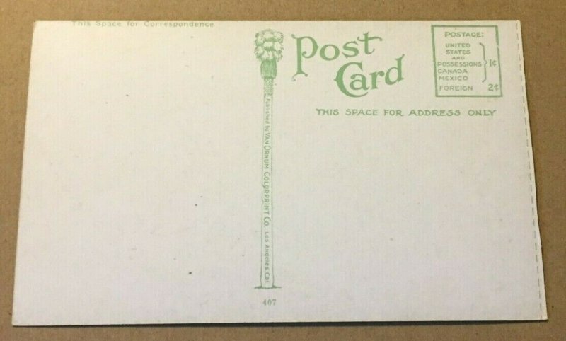 VINT UNUSED .01 PC - OSTRICHES FIGHTING AT GAWSTON FARM, NEAR LOS ANGELES, CAL.