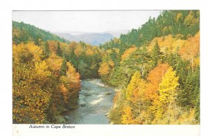 Canada Cape Breton Nova Scotia Autumn Scene River Stream Vintage 4X6 Postcard