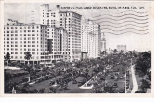 Florida Miami Palm Lined Biscayne Boulevard 1947