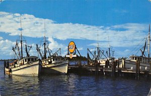 Fishing Fleet Fort Myers  FL Postcard