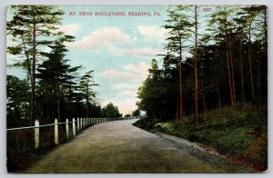 Reading Pennsylvania~Mt Penn Blvd~Guardrail Fence~Bosselman PM 1909 Postcard
