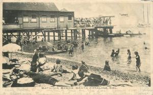 Bathing Scene waterfront 1910 Santa Catalina California undivided postcard 6105