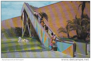 Motor Stairwat To Observation Deck Busch Gardens Tampa Florida