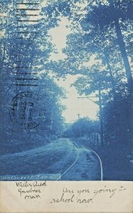 Gardiner MA Wachitsett Park Trolley Real Photo Postcard