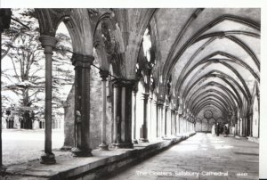 Wiltshire Postcard - The Cloisters, Salisbury Cathedral - Real Photo  6960A