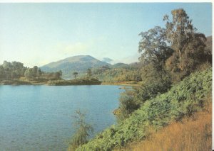 Scotland Postcard - Loch Beneveian - Glen Affric - Inverness-shire - Ref TZ8431