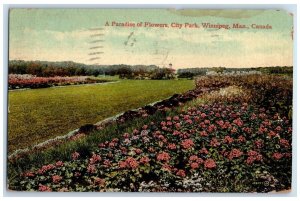 1914 A Paradise Of Flowers City Park Winnipeg Man Canada Posted Antique Postcard 