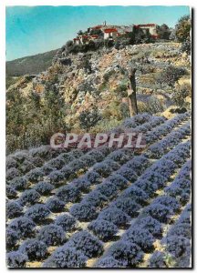 Modern Postcard Gourdon AM Tour of the Gorges du Loup Culture Lavender