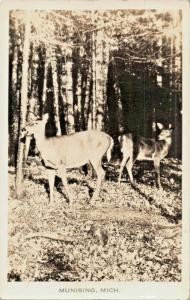 MUNISING MICHIGAN DEER REAL PHOTO 1937 POSTMARK POSTCARD