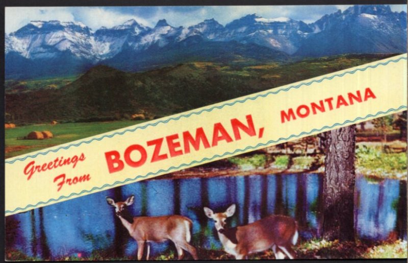 Greetings From BOZEMAN Montana SplitView Scenery Deer - Chrome