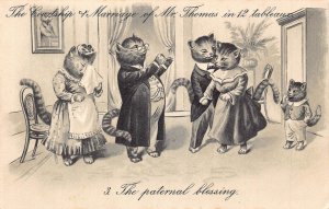 Anthropomorphic Cats Couple Engaged The Paternal Blessing Romance postcard B904
