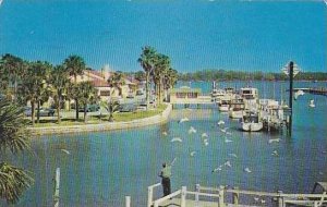 Florida Daytona Beach The City Island