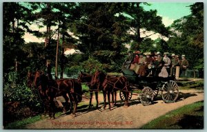 Stage Coach Tally Ho In Beacon Hill Park Victoria BC Canada UNP DB Postcard F15