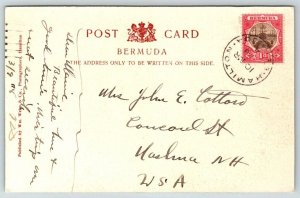 1908  Hamilton  Bermuda  Steamer Day  Horse and Buggy  Postcard