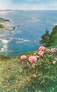 Oregon Coast Otter Crest & Rhodendrons Birdseye View 1959 Chrome Postcard Unused