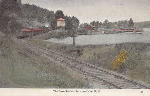 J83/ Sunapee Lake New Hampshire Postcard Railroad Depot Station 187