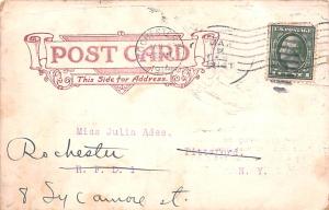 Bear Post Card Old Vintage Antique 1914