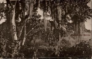 costa rica, Puente de Birris (1910s)