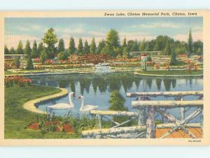 Unused Linen SWANS IN MEMORIAL PARK SCENE Clinton Iowa IA r8294@