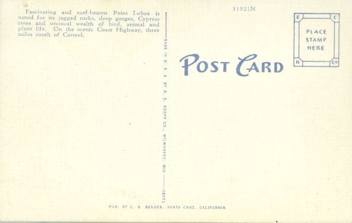 [E.C. Kropp] US California Point Lobas - Pinnacle Point At State Park