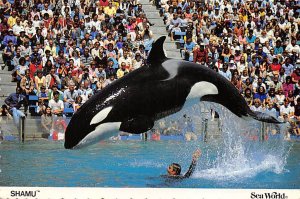 Shamu Sea World Orlando FL
