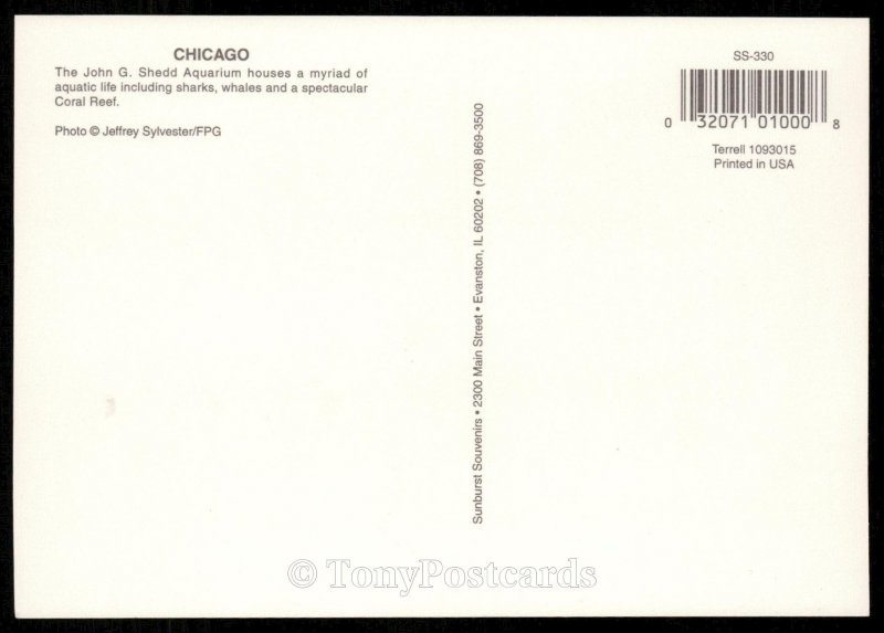 Chicago - Shedd Aquarium