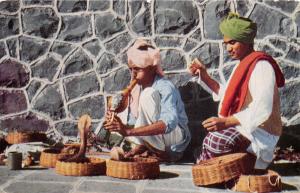 B90176 snake charmers india types folklore   14x9cm