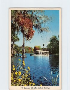 Postcard At Famous Florida's Silver Springs, Florida