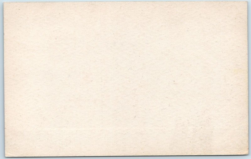 c1910s Worthing Sussex England Town Hall Blank Back Postcard Litho Photo UK A207