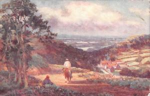 uk37197 coldharbour surrey leigh hill uk lot 10 uk