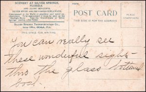 Moss and Grass Bottom Silver River,Silver Springs,FL