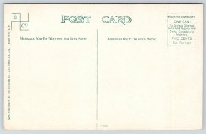 Santa Barbara California~Hueter Mansion~Gorgeous Landscaping~c1910 Postcard