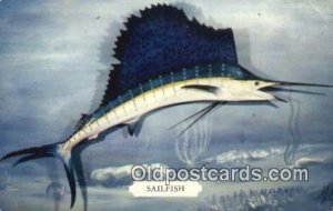 Sailfish Fishing 1960 