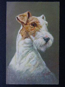 Portrait Terrier Dogs FOX TERRIER by Artist J. Rivst - Old Postcard