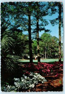 HILTON HEAD ISLAND, SC ~ Golfers HARBOUR TOWN GOLF LINKS 1981 ~ 4x6  Postcard