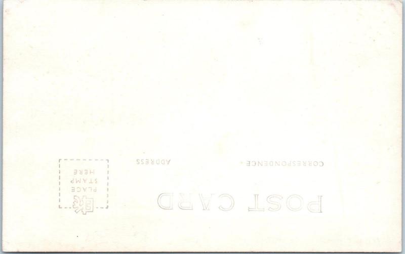 RPPC SAN FRANCISCO, CA California  Cross Section REDWOOD TREE c1940s    Postcard